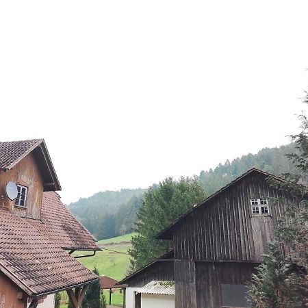 Geraeumige Wohnung Im Schwarzwald Сеелбах Екстер'єр фото