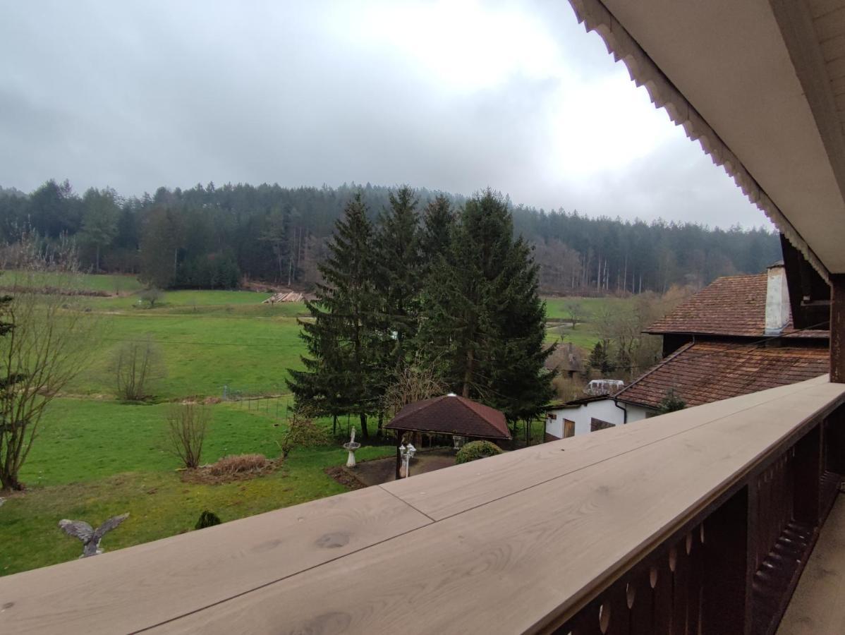 Geraeumige Wohnung Im Schwarzwald Сеелбах Екстер'єр фото