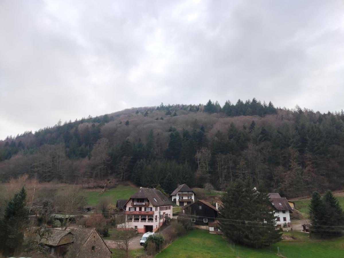Geraeumige Wohnung Im Schwarzwald Сеелбах Екстер'єр фото