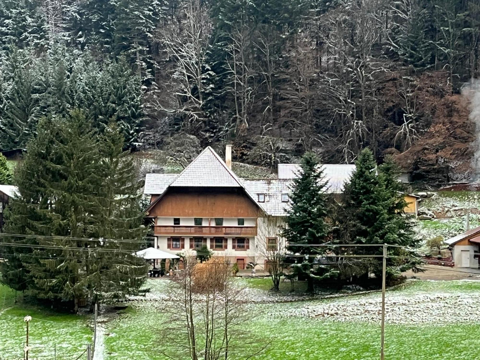 Geraeumige Wohnung Im Schwarzwald Сеелбах Екстер'єр фото